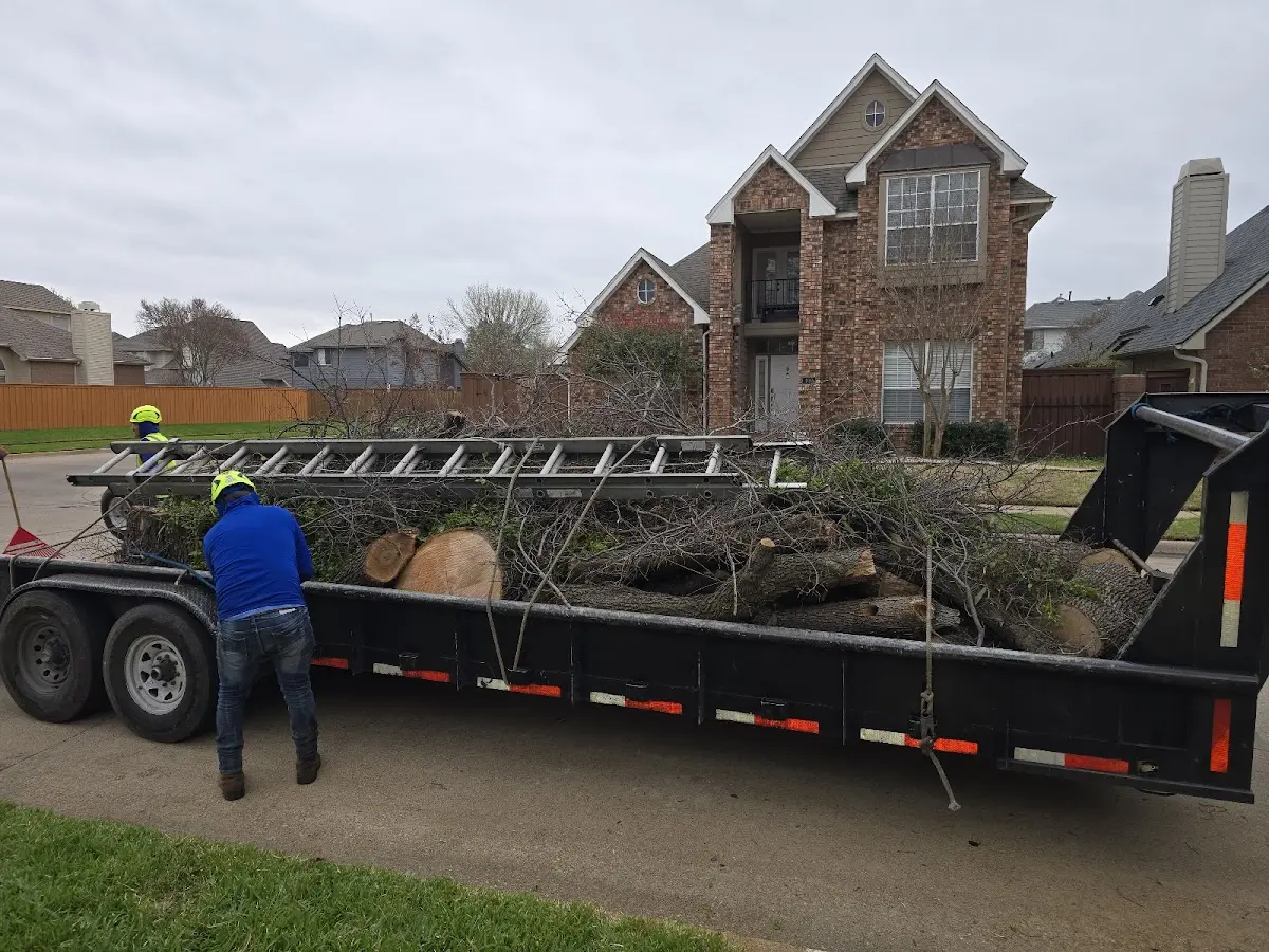 Expert Tree Fertilization with proper safety equipment in Paxton